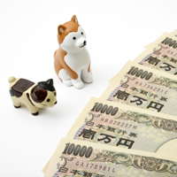 相続時の健康保険料の扱い