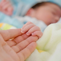 相続が発生した場合に甥など財産を承継できる親族について
